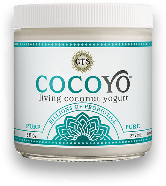 Whole30 Approved Yogurt Brands Cocoyo