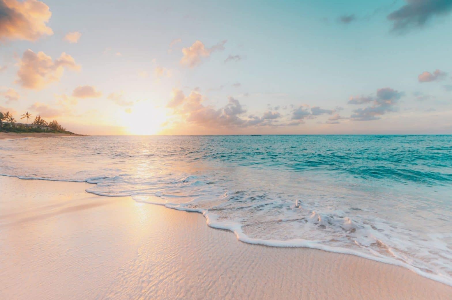 Safest Sunscreens of 2024