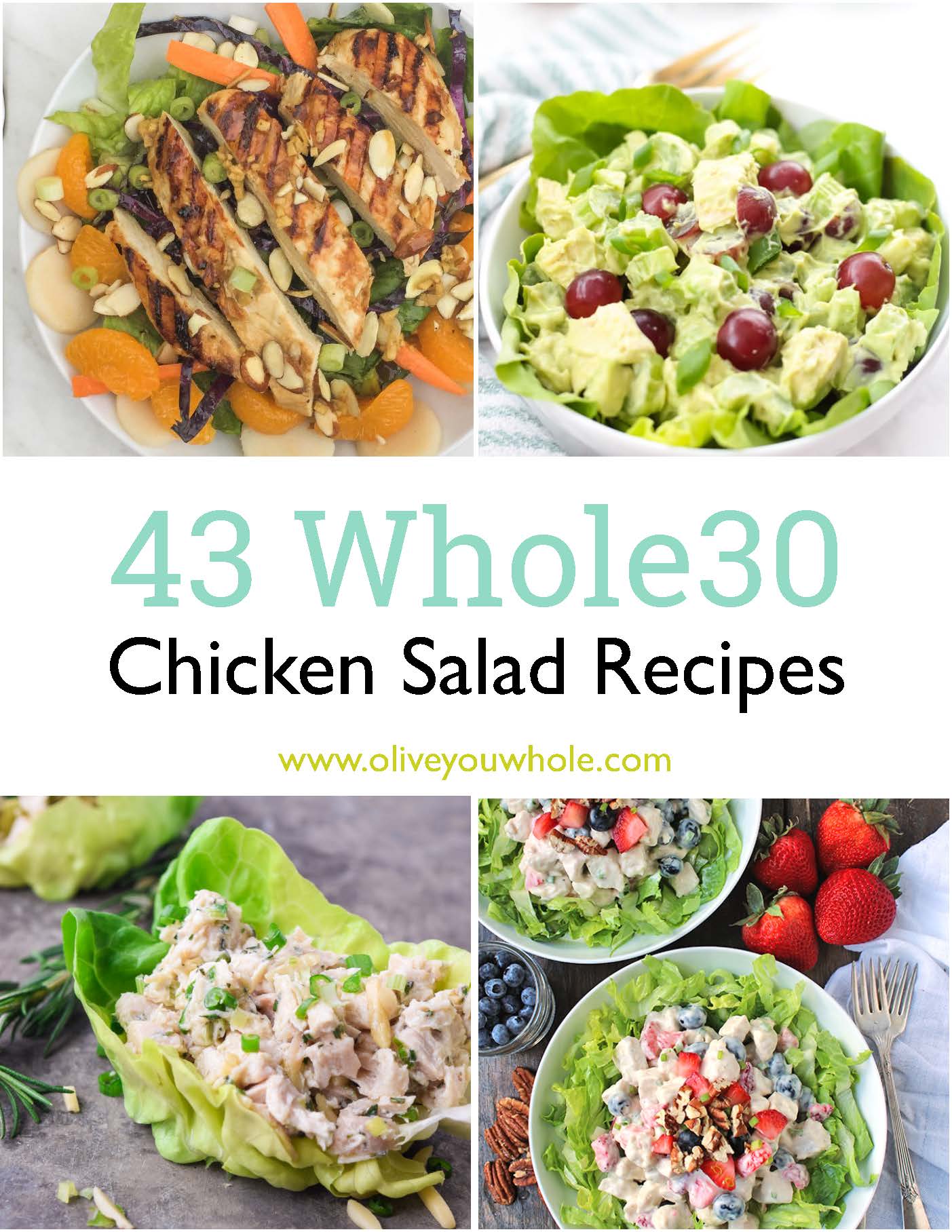 43 Whole30 Chicken Salad Recipes (Gluten, Dairy, and Grain Free)