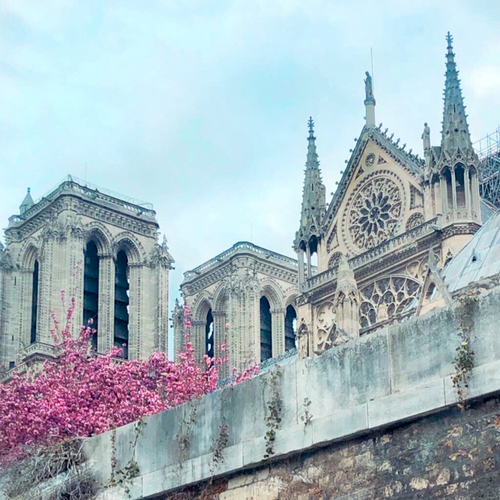 Things to Do in Paris Notre Dame