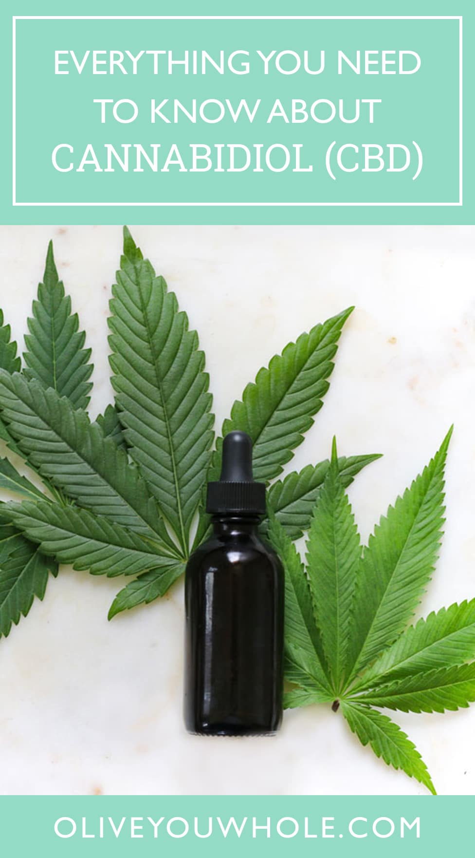 Everything You Need to Know about CBD Pin