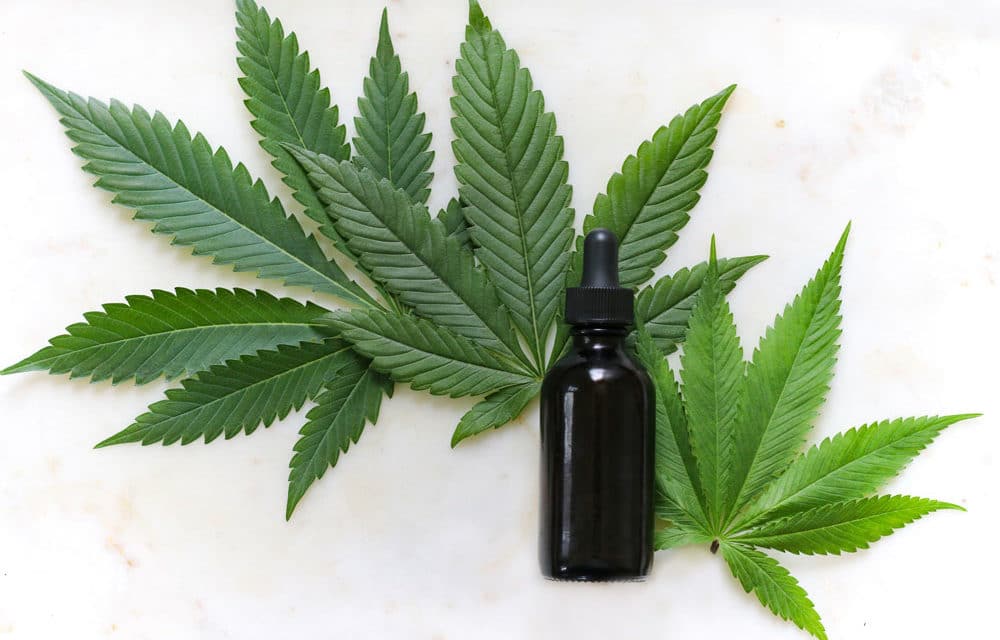 Everything you Need to Know about CBD