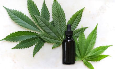 Everything you Need to Know about CBD