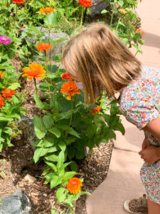 Things to Do in Cheyenne Wyoming Botanic Garden