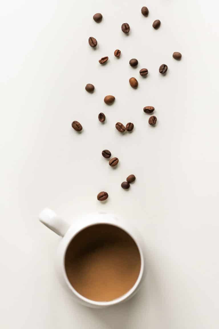 The Best Toxic Free Coffee The Best Mold and Mycotoxin Free Coffee