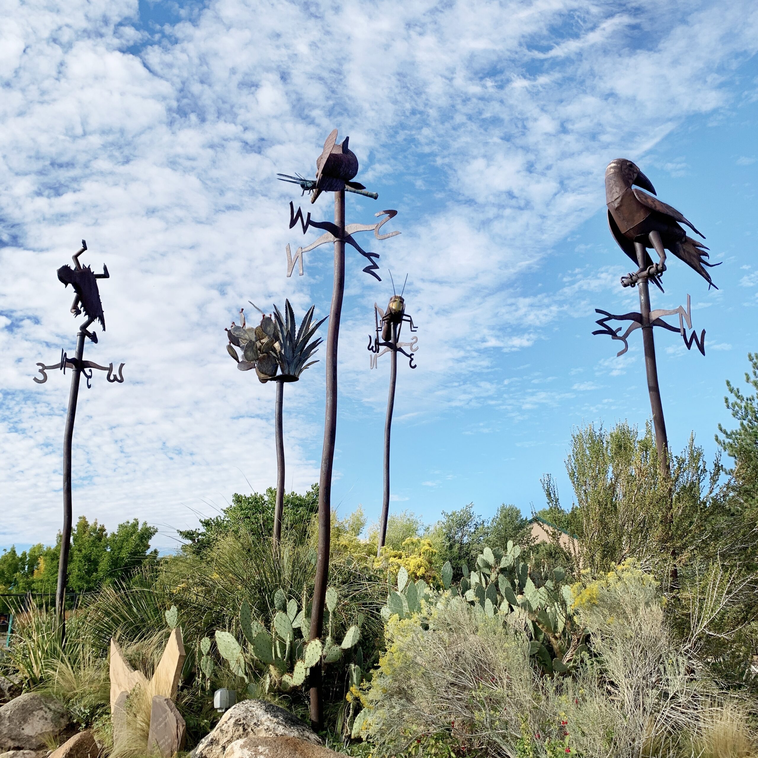 Albuquerque Botanic Gardens