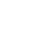 Spotify Logo White Transparent