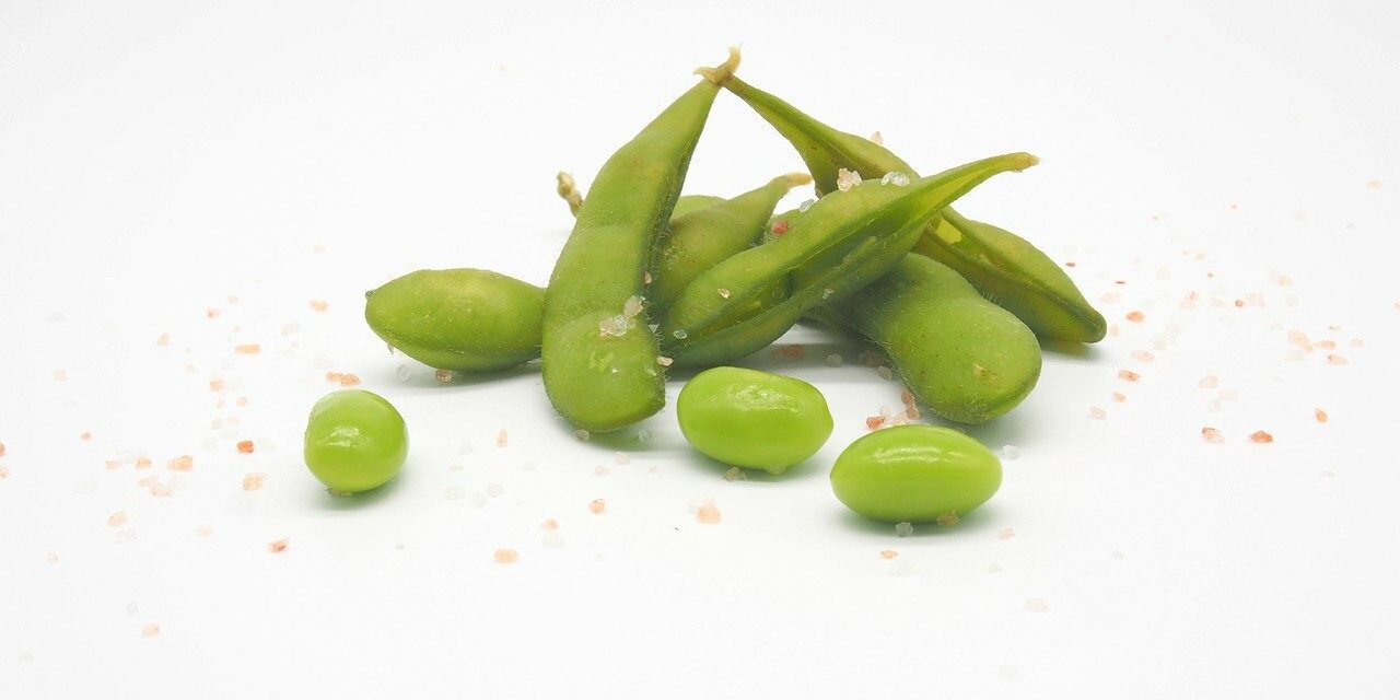 Plant-Based Whole30 Edamame Brands 2023