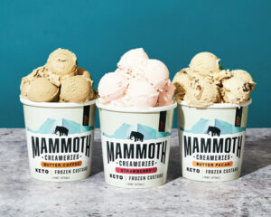 Mammoth Creameries Keto Custard Brands