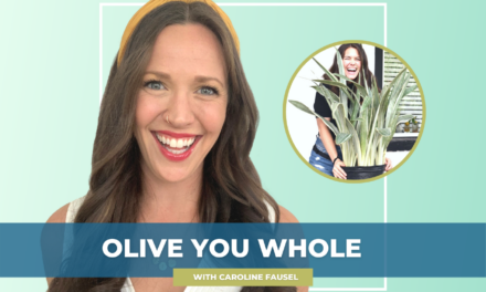 076: The Trouble with Birth Control plus Balancing Hormones with Blair Horton of Holistic Rendezvous